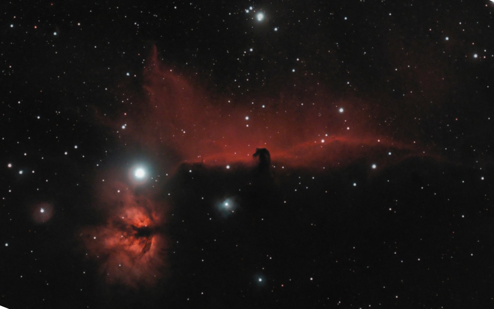 A real telescopic observation of the Horsehead Nebula